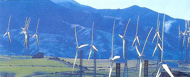 a New Zealand ridge with some of 48 large windturbines at Trustpower's Tararua Windfarm. Towers NZ-made.